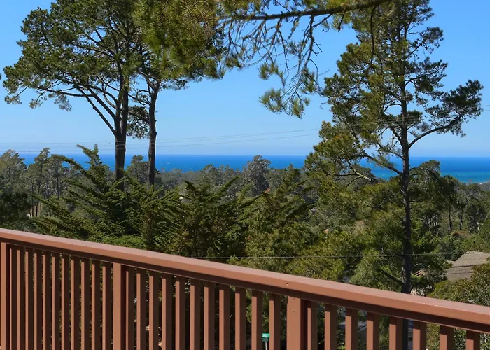 A Beautiful Tree Top Panorama